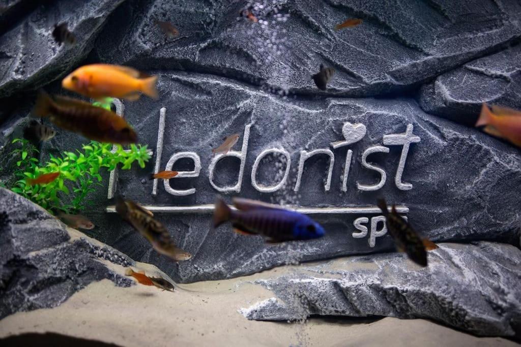 Hedonist-Belgrade Central Nest Ngoại thất bức ảnh